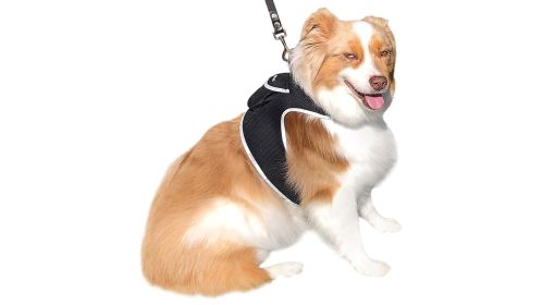 Efficient Pet Tracking w/ GPS GSM Realtime Waterproof Portable Tracker Size:XS