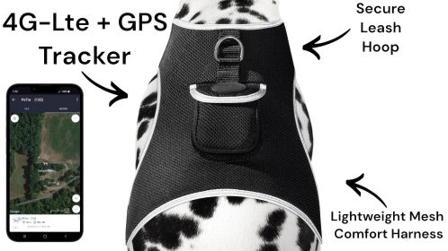 Easy Usage Pet Tracker Mini Cat Dog GPS Tracking Collar Device Waterproof Size:XS