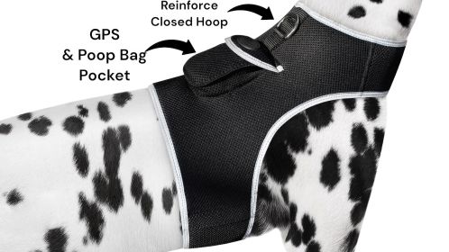 Wireless Realtime GPRS GSM GPS Tracking Collars for Dogs w/ Phone App Size:S