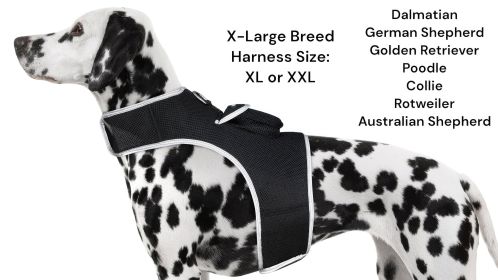 Portable Realtime Remote Surveillance GPS Pet Tracker for Phone w/ App Size:XS