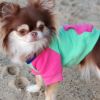Color-Block Flex Fit Hoodie - Pink on Mint